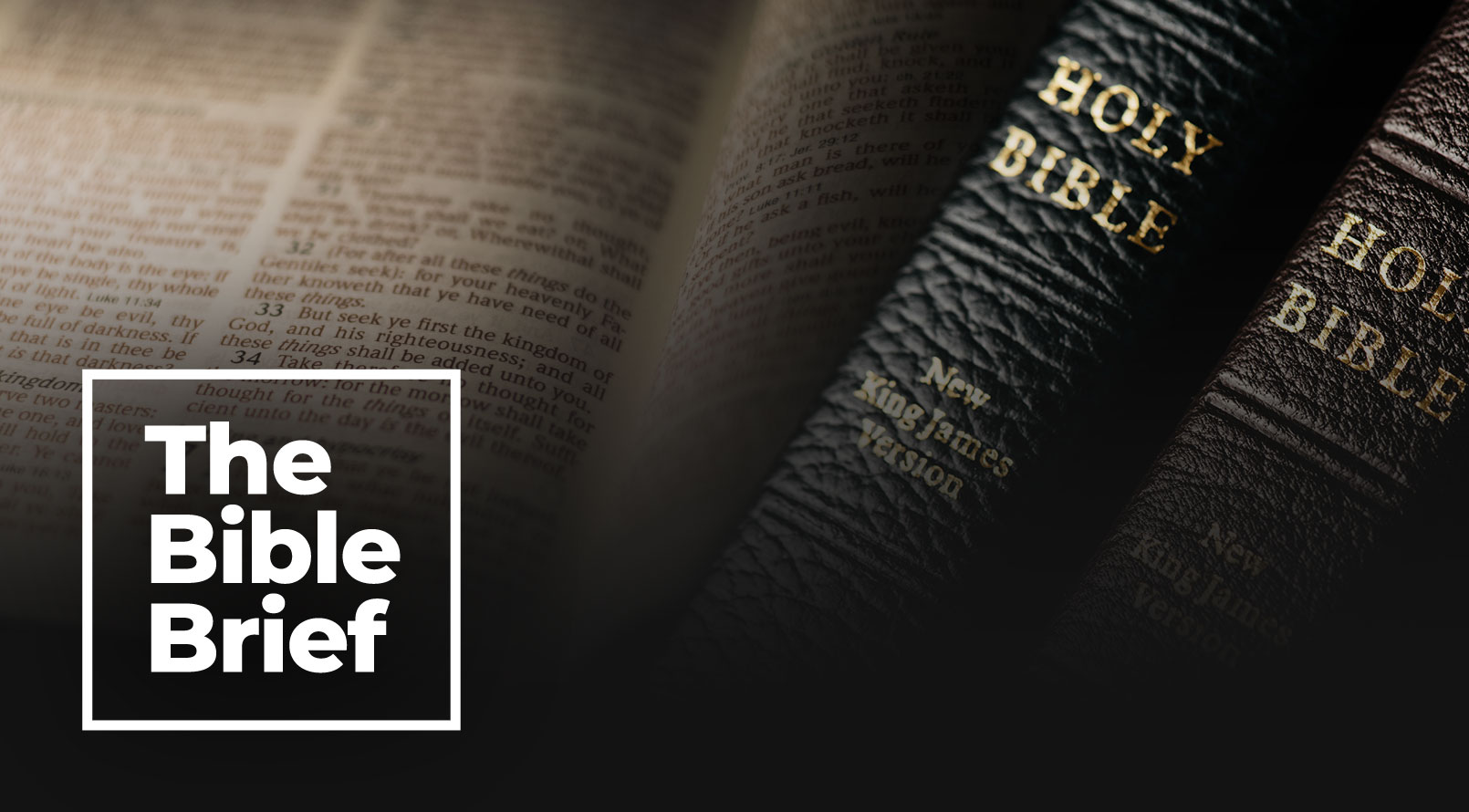 The Bible Brief